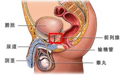 1468659455120093.png blob.png